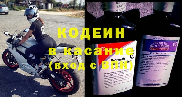 хмурый Магас