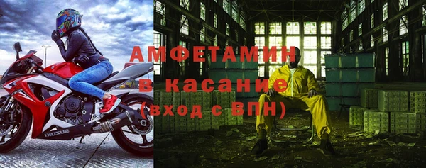 хмурый Магас