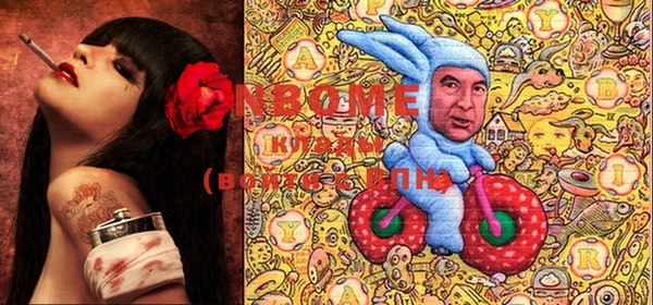 хмурый Магас