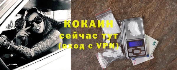 хмурый Магас