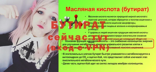хмурый Магас