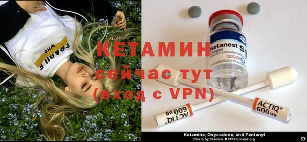 хмурый Магас