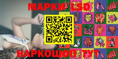 индика Пенза