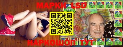 индика Пенза