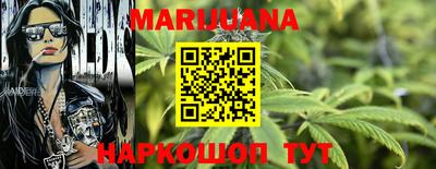 индика Пенза