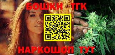 индика Пенза