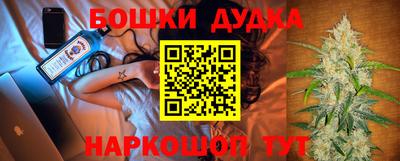 индика Пенза