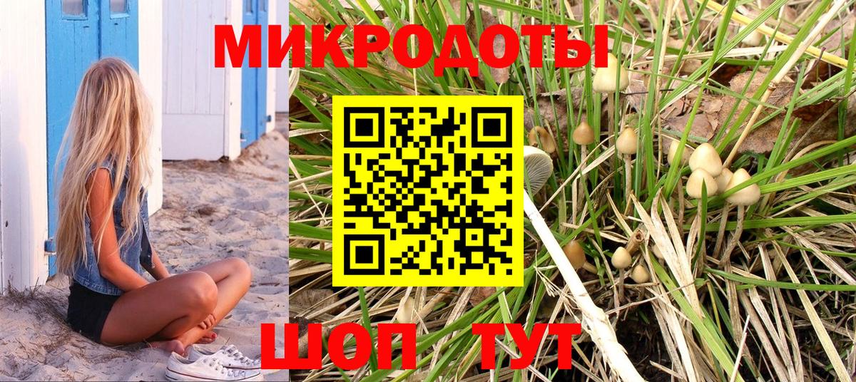 Псилоцибиновые грибы Psilocybine cubensis Маркс